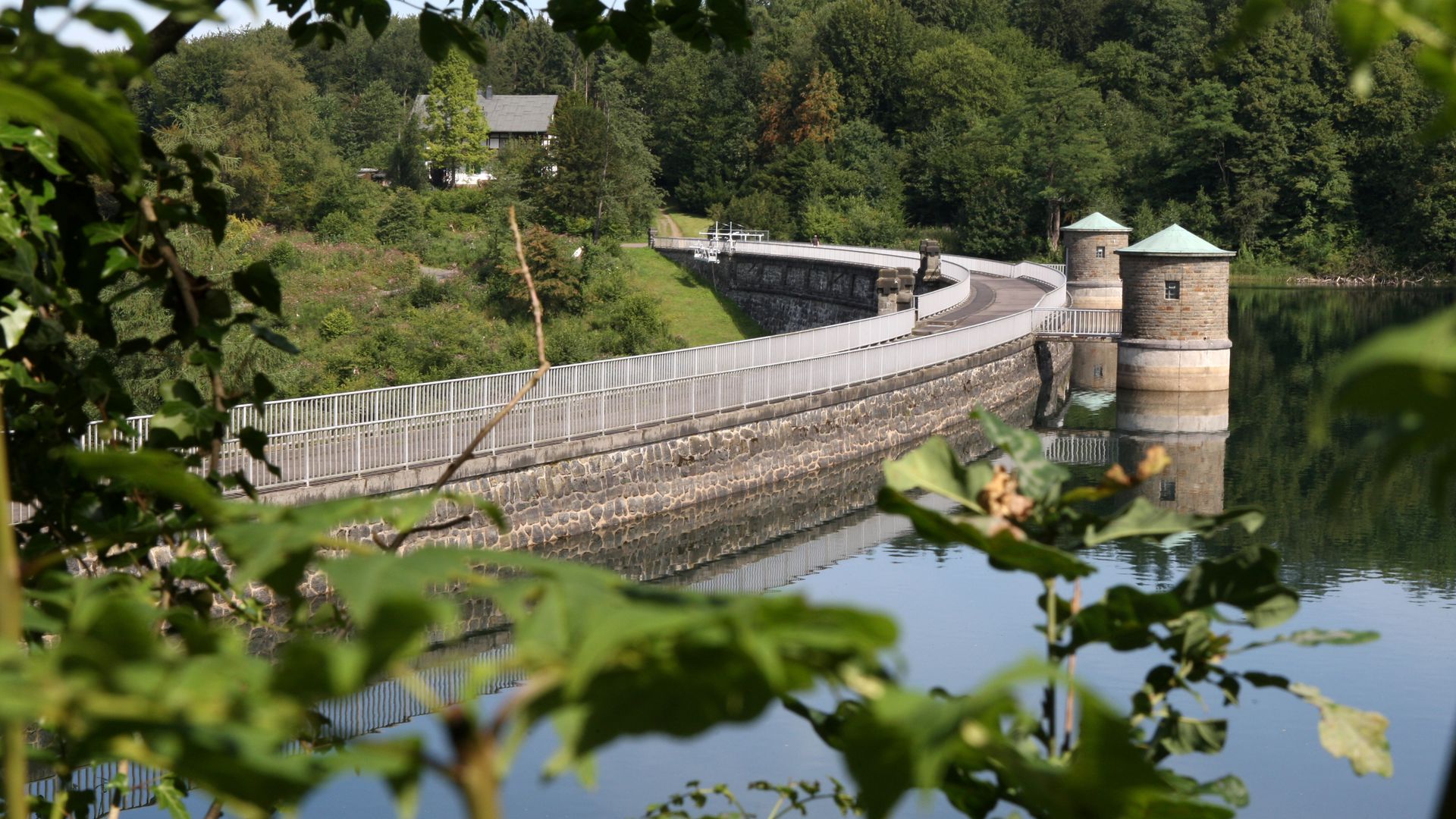 Blick durch einen Baum hindurch auf die Staumauer der Neyetalsperre. Links der Staumauer ist eine Wiese und rechts ist Wasser