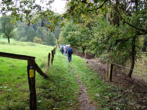 einzelne Wanderer die über einen Wanderweg am Waldrand an einem Zaun entlang wandern. Im Vordergrun ist ein gelbes Markierungszeichen an einem Zaunpfosten zu sehen