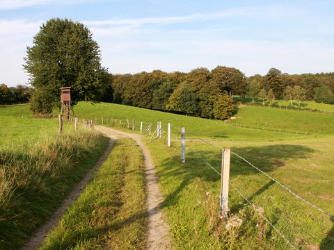 Blick auf einen Wanderweg über eine Wiese. Auf der rechten Seite ist ein Zaun, weiter hinten ein Wald sichtbar und ein Hochsitz. 