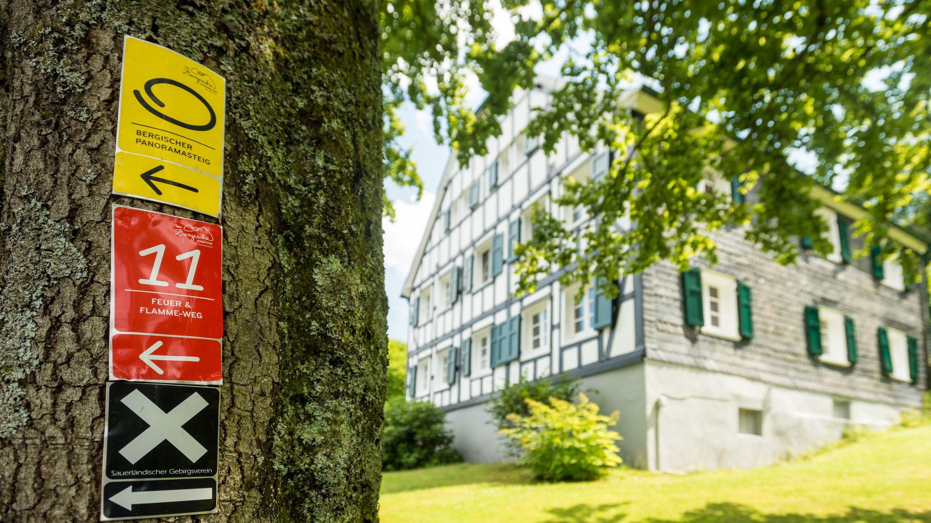 An einem dicken Baumstamm sind drei Wegezeichen angebracht, ein gelbes vom Bergischen Panoramasteig, ein rotes vom Bergischen Streifzug Feuer- und Flamme-Weg und ein schwarzes vom Sauerländischen Gebirgsverein. Im Hintergrund steht ein Fachwerkhaus.