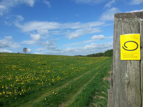 Rechts vorne steht ein Holzpfosten mit einem gelben Markierungszeichen. Ein Feldweg verläuft an einer grünen Wiese entlang auf der zahlreiche gelbe Löwenzahnblüten wachsen. 