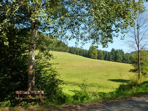 Eine Bank steht unter einem Baum vor einer Wiese. Rechts läuft der Wanderweg vorbei. 