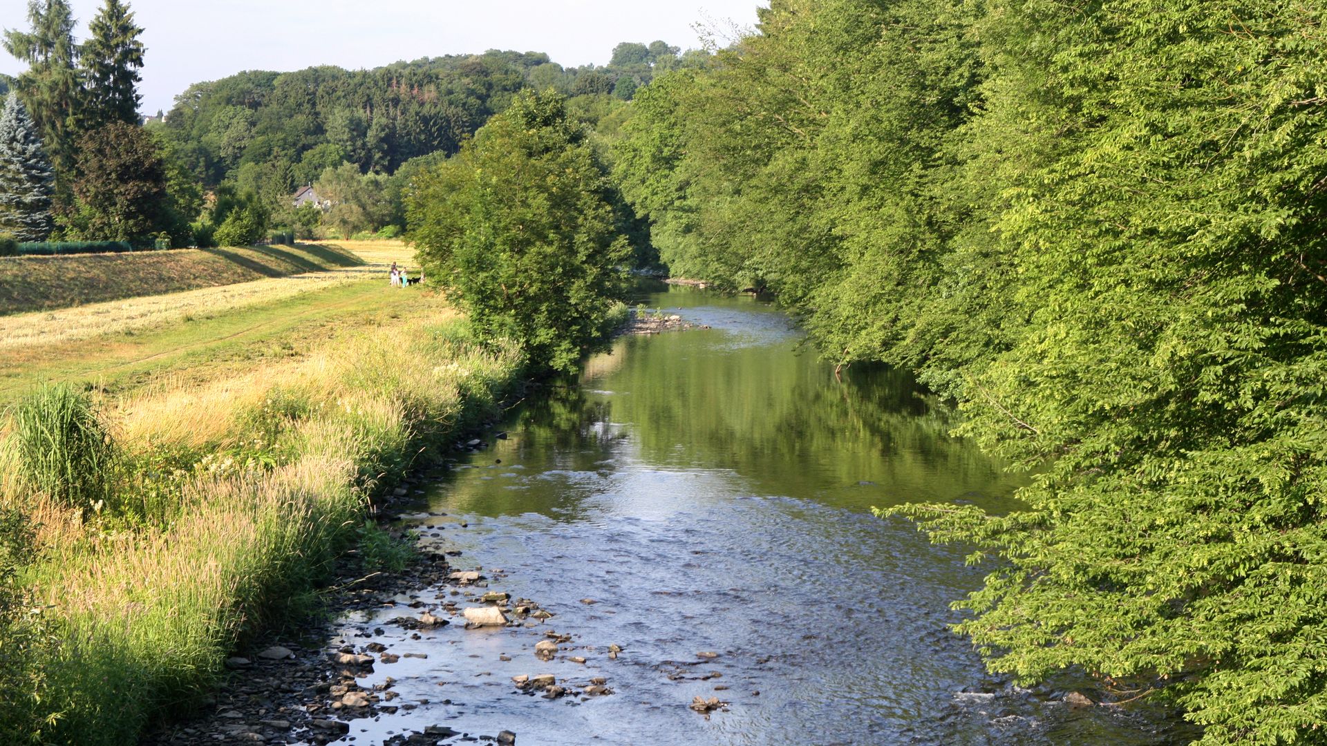 Zwischen grünen Bäumen auf der rechten Seite und einer Wiese auf der linken Seit fließt ein Fluss, die Agger.