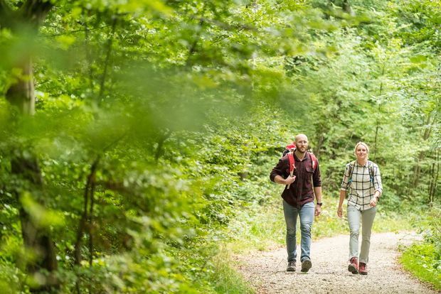 Ein Mann und eine Frau mit Wanderkleidung und Rucksack wandern über einen Waldweg durch einen Laubwald auf den Fotografen zu. 