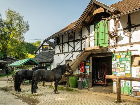 Vor einem großen Fachwerkschuppen mit grüner Scheunentür stehen zwei schwarze Pferde angeleihnt.