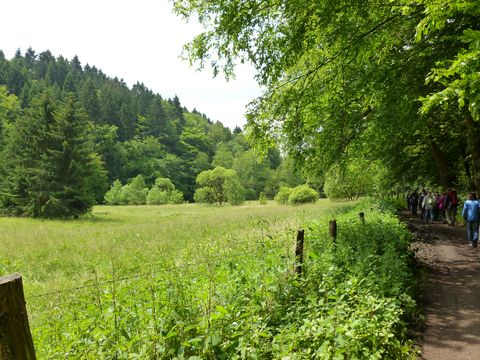 Links im Bild ist eine große Wiese, an der rechts der Wanderweg entlangführt. Weiter hintern im Bild ist eine Wandergruppe von hinten auf dem Weg zu sehen.