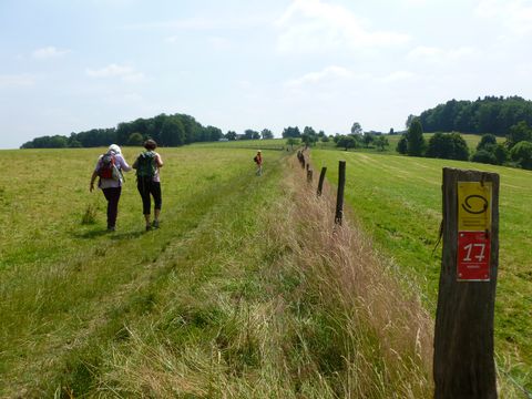 2 Personen wandern auf einem Wiesenweg. Auf der rechten Seite ist im Vordergrund ein Wanderpfosten mit einem gelben und einem roten Markierungszeichen. 