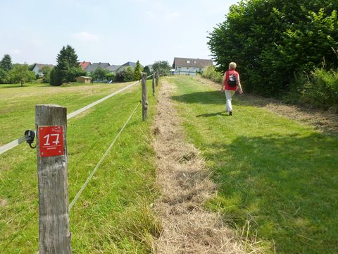 Links im Bild ist an einem Zaunpfahl das rote Markierungszeichen des Bierweges angebracht. Im Hintergrund wandert eine Frau über den Weg, der über eine Wiese verläuft.