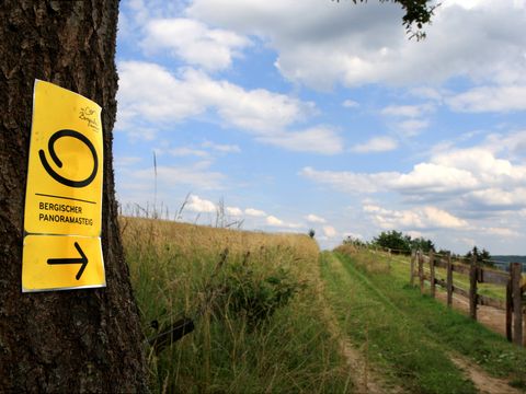 ein gelbes Markierungszeichen vom Bergischen Panoramasteig hängt an einem Baum auf der linken Seite. Rechts verläuft ein Wanderweg an einer Wiese vorbei