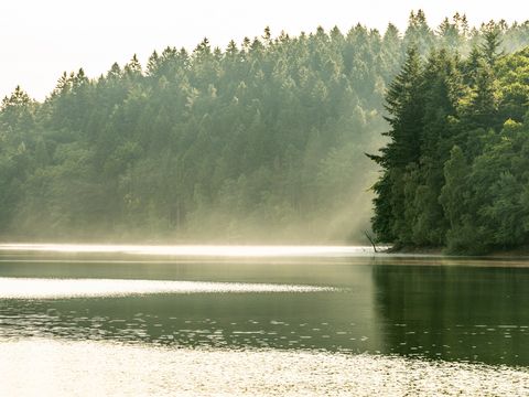 Bevertalsperre mit glitzerndem Wasser und Nebel, im Hintergrund Wald