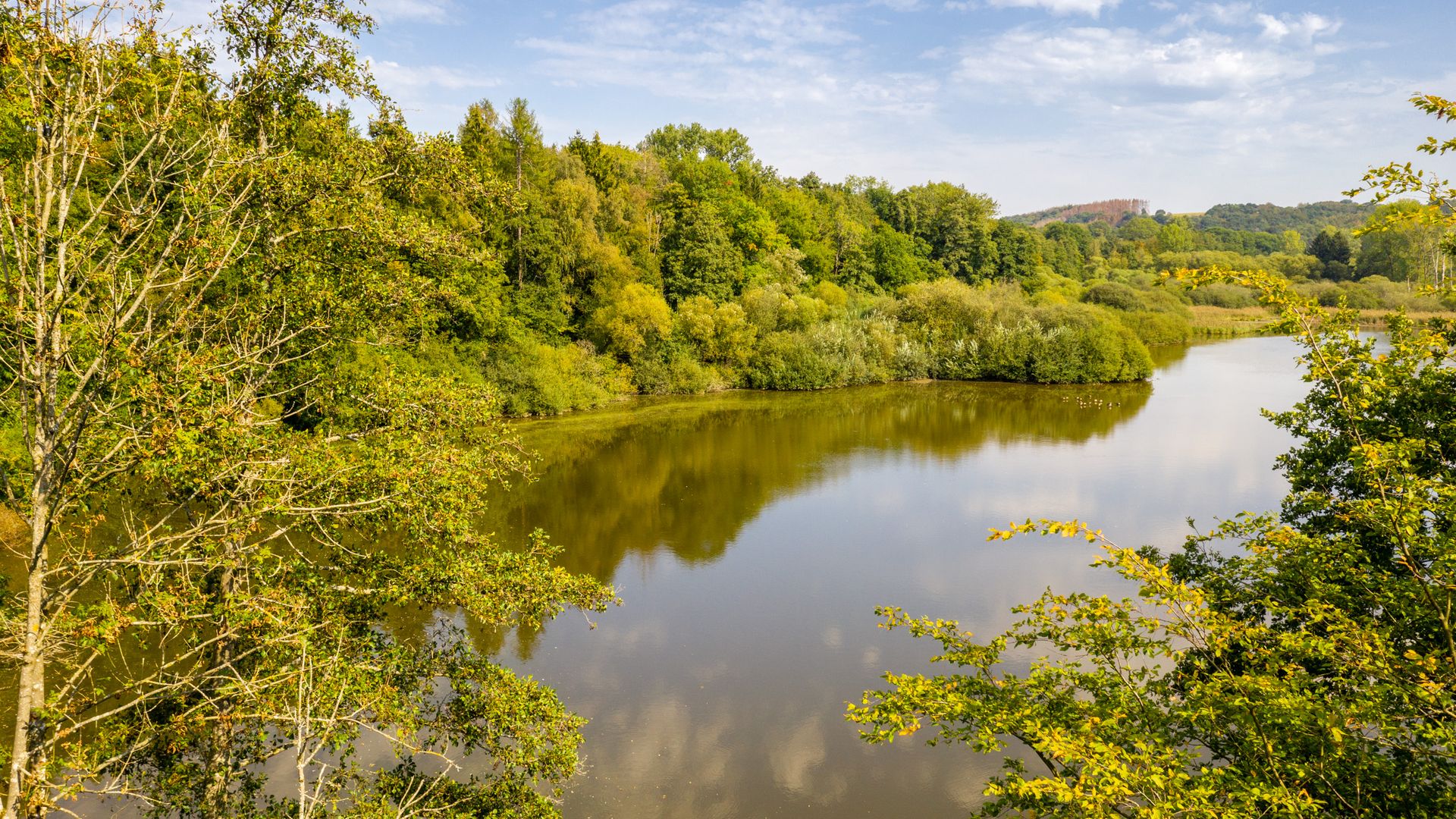 Blick auf einen See der von grünen Bäumen umgeben ist. 