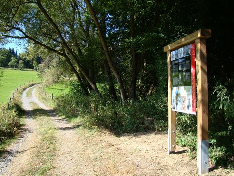 Am Wegesrand eines Feldweges steht eine Infotafel des Waldmythenweges. Hinter ihr beginnt auf der rechten Seite des Bildes der Wald. Links vom Weg ist eine grüne Wiese.