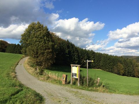 Ein Grauwackstein mit einer Hinweistafel, ein Holzrahmen mit einer Übersichtskarte und ein Wegweiser stehen nebeneinander an einem geschotterten Wanderweg der an einer Wiese entlang in den Wand führt. 